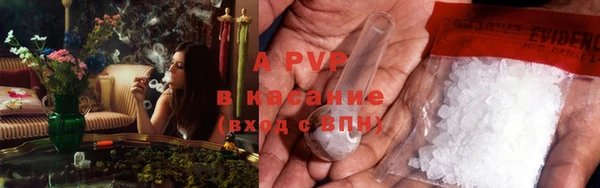 гашик Аркадак