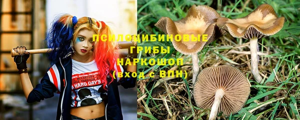 гашик Аркадак