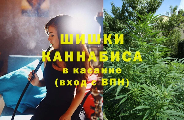 гашик Аркадак