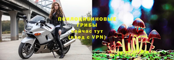 гашик Аркадак