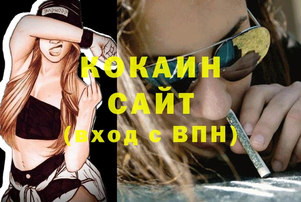 гашик Аркадак